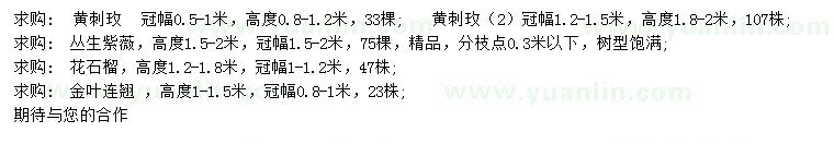 求購黃刺玫、叢生紫薇、花石榴等