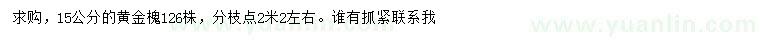 求購15公分黃金槐