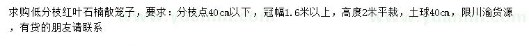 求購(gòu)冠幅1.6米以上低分枝紅葉石楠散籠子
