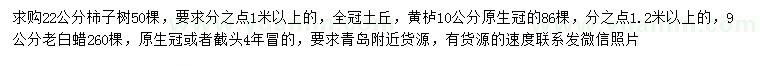求購柿子樹、黃櫨、老白蠟