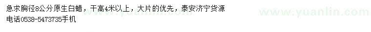 求購(gòu)胸徑8公分白蠟