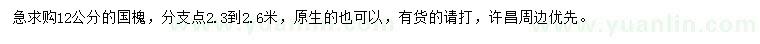 求購(gòu)12公分國(guó)槐