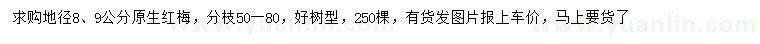 求購地徑9公分紅梅