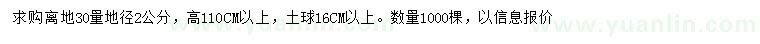 求購地徑30量2公分紅豆杉