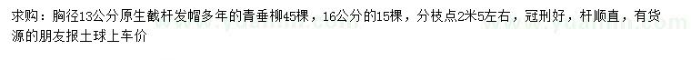 求購13、16公分垂柳