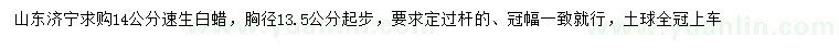 求購(gòu)胸徑14公分速生白蠟