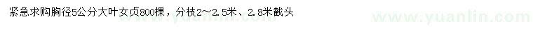 求購胸徑5公分大葉女貞