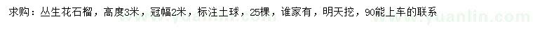 求購高3米叢生花石榴