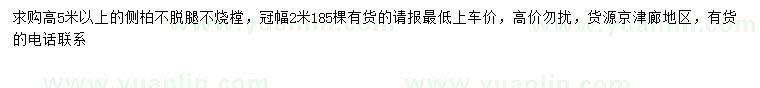 求購高5米以上側柏