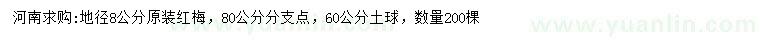 求購地徑8公分原裝紅梅