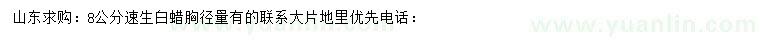 求購(gòu)8公分速生白蠟