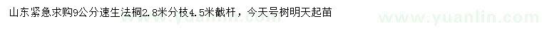求購9公分速生法桐