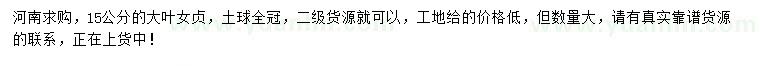求購15公分大葉女貞，
