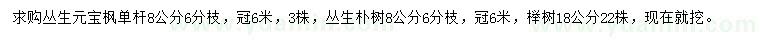 求購叢生元寶楓、叢生樸樹、櫸樹
