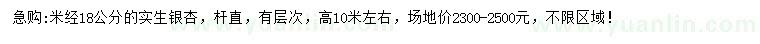 求購米徑18公分銀杏