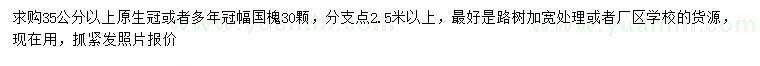求購35公分以上國槐