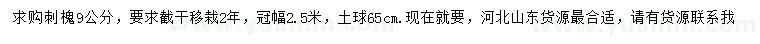 求購9公分刺槐