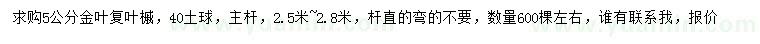 求購5公分金葉復葉槭