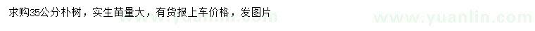 求購35公分樸樹