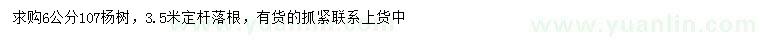 求購(gòu)6公分107楊樹(shù)
