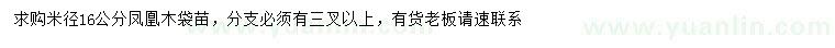 求購米徑16公分鳳凰木