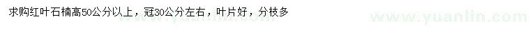 求購高50公分以上紅葉石楠