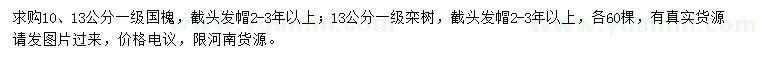 求購10、13公分國槐、13公分欒樹