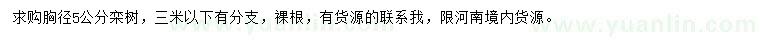 求購胸徑5公分欒樹