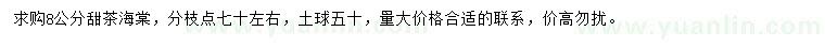 求購8公分甜茶海棠