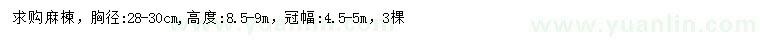 求購胸徑28-30公分麻楝