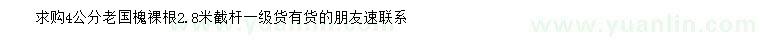求購4公分老國槐
