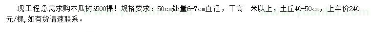 求購50公分量直徑6-7公分木瓜樹