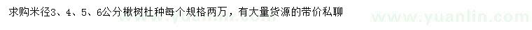 求購米徑3、4、5、6公分楸樹、杜種