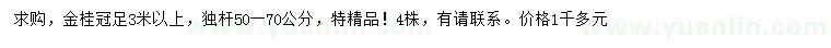 求購冠幅足3米以上金桂