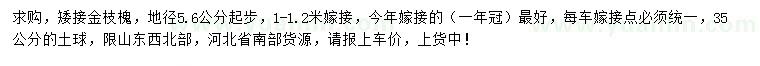 求購(gòu)地徑5.6公分起步矮接金枝槐