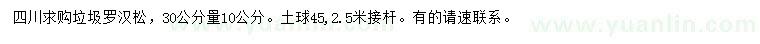 求購30公分量10公分垃圾羅漢松