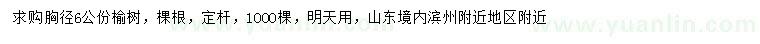 求購胸徑6公分榆樹