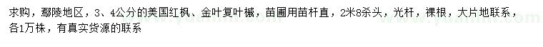 求購3、4公分美國紅楓、金葉復(fù)葉槭