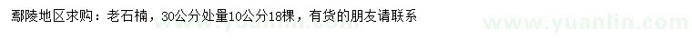 求購30公分量10公分老石楠