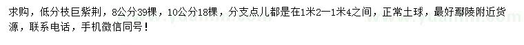 求購(gòu)8、10公分巨紫荊