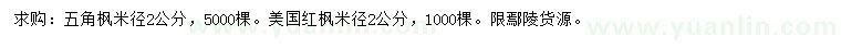 求購(gòu)2公分五角楓、美國(guó)紅楓