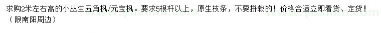 求購(gòu)高2米左右小叢生五角楓、元寶楓