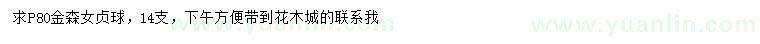 求購冠幅80公分金森女貞球