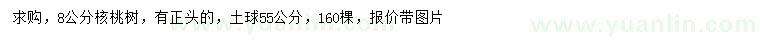 求購8公分核桃樹