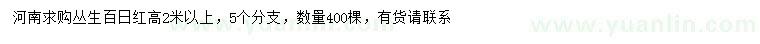 求購(gòu)高2米以上叢生百日紅