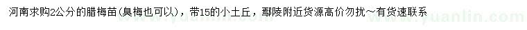 求購2公分臘梅