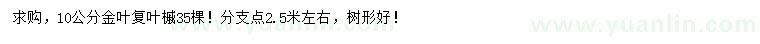 求購(gòu)10公分金葉復(fù)葉槭