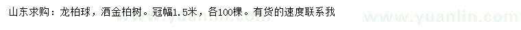 求購冠幅1.5米龍柏球、灑金柏