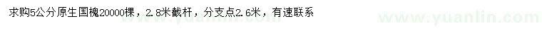求購(gòu)5公分國(guó)槐
