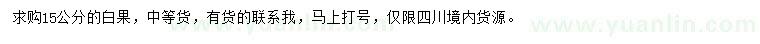 求購15公分白果